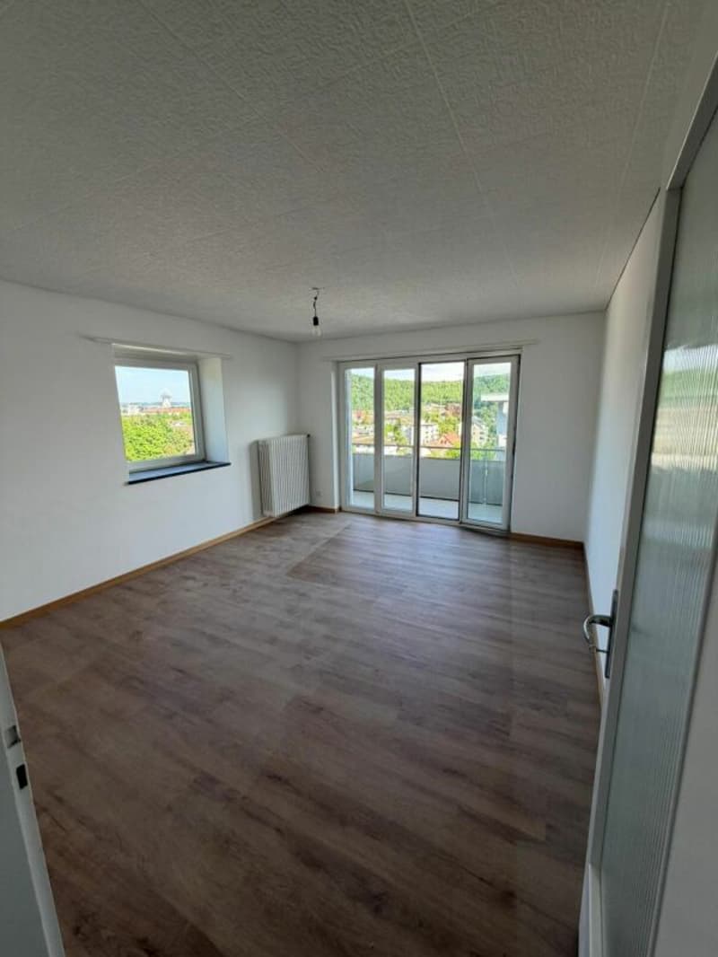 Joli appartement 2.5 pièces disponible immédiatement (3)
