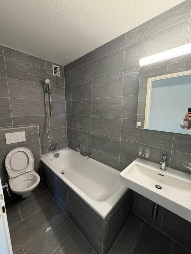 Joli appartement 2.5 pièces disponible immédiatement (2)