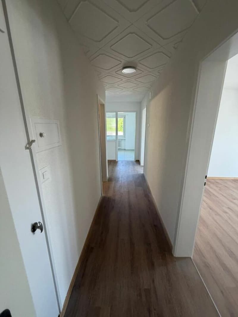 Joli appartement 2.5 pièces disponible immédiatement (5)