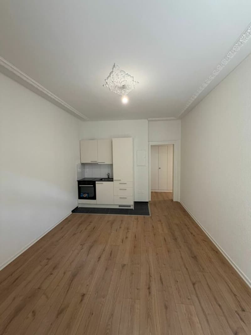Erstbezug - charmante frisch sanierte 2.5 Zimmer-Wohnung jetzt zu vermieten! (3)