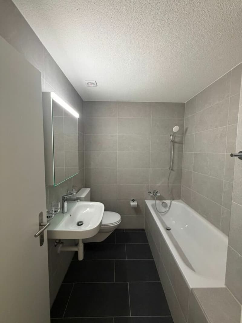 Erstbezug - charmante frisch sanierte 2.5 Zimmer-Wohnung jetzt zu vermieten! (5)