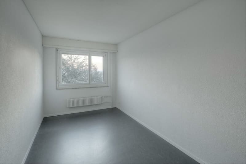 Tolle 4,5-Zimmer-Wohnung jetzt zu vermieten! (8)