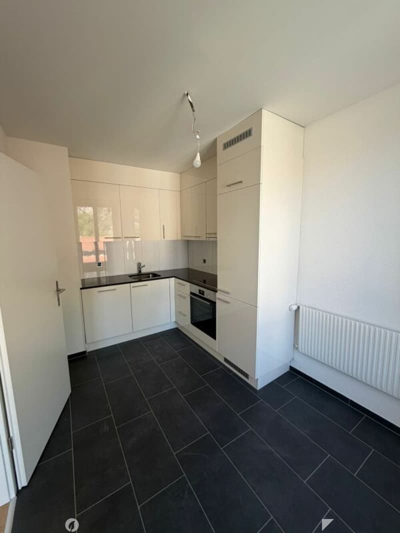 Erstbezug - frisch sanierte 5.5 Zimmer-Wohnung mit Balkon jetzt zu vermieten! (6)