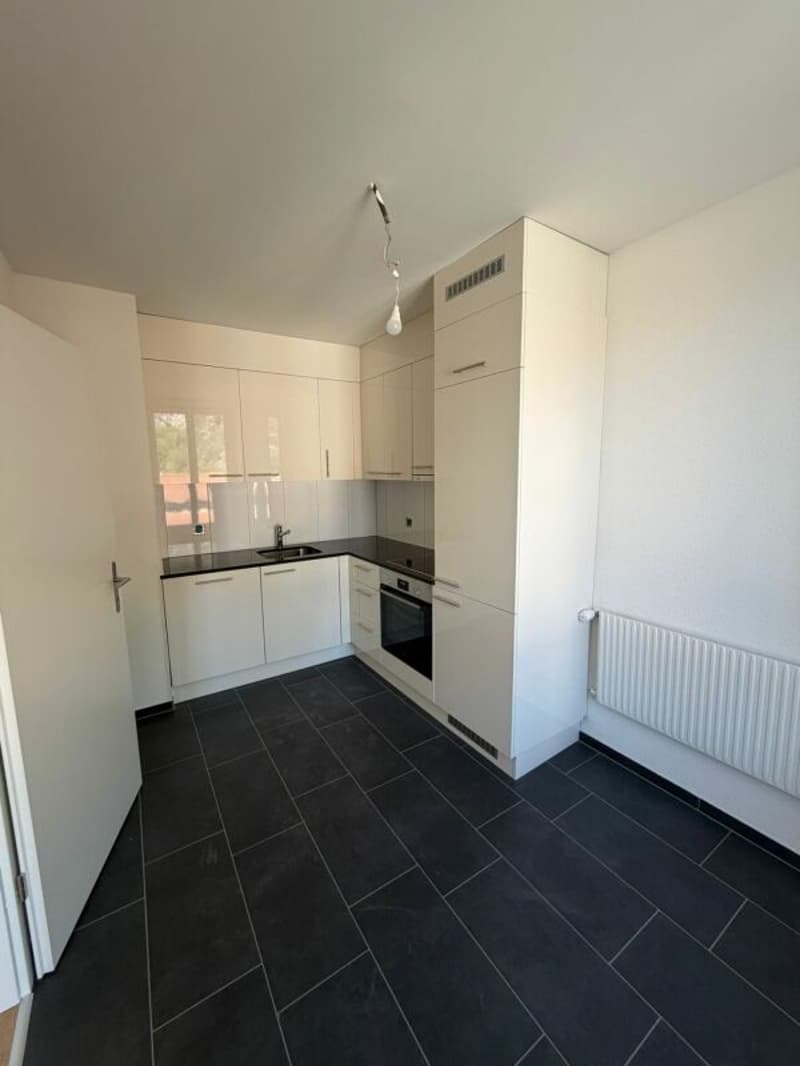 Primo affitto - appartamento di 5,5 locali appena ristrutturato con balcone in affitto ora! (6)