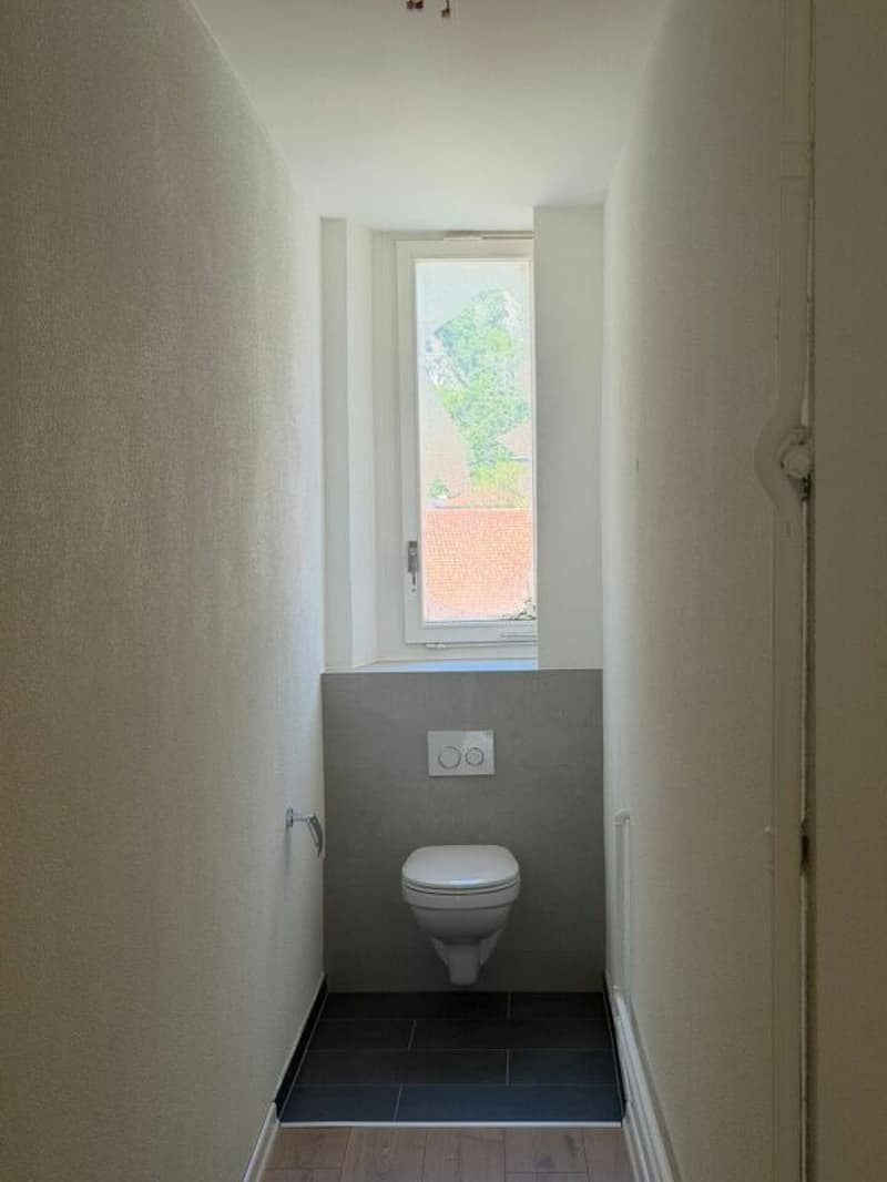 Erstbezug - frisch sanierte 5.5 Zimmer-Wohnung mit Balkon jetzt zu vermieten! (11)