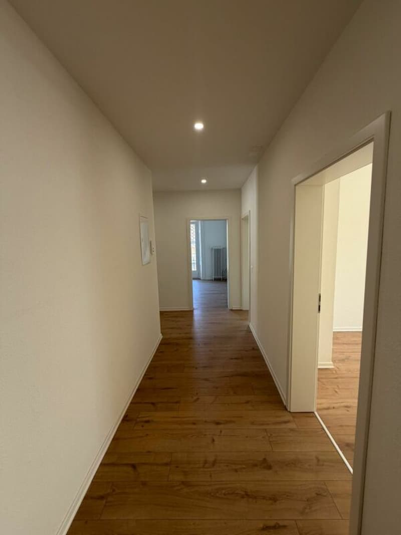 Primo affitto - appartamento di 5,5 locali appena ristrutturato con balcone in affitto ora! (7)