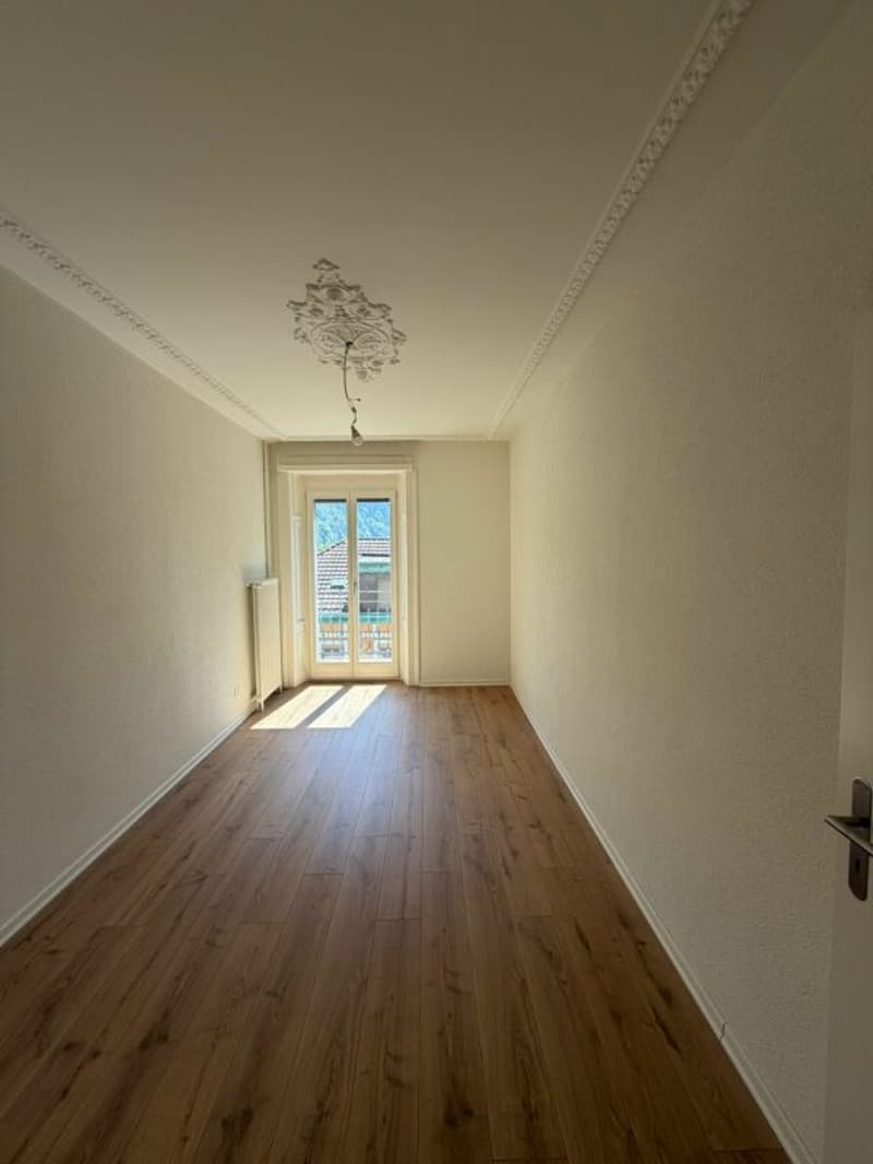 Primo affitto - appartamento di 5,5 locali appena ristrutturato con balcone in affitto ora! (1)