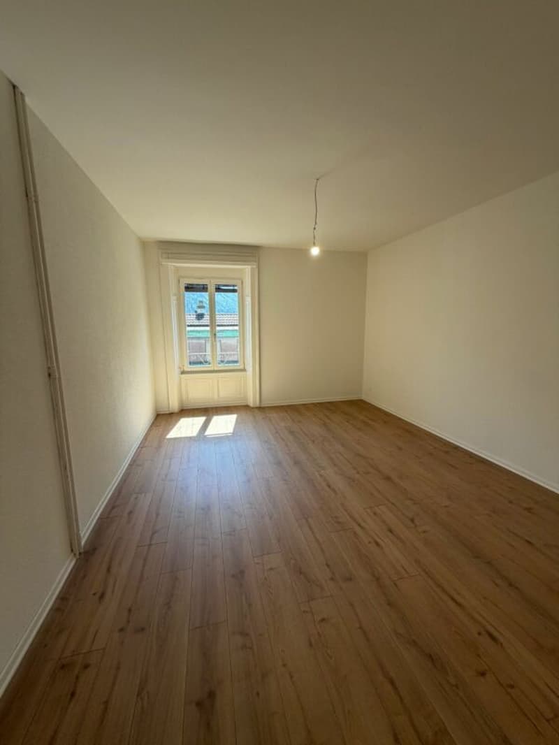 Primo affitto - appartamento di 5,5 locali appena ristrutturato con balcone in affitto ora! (3)
