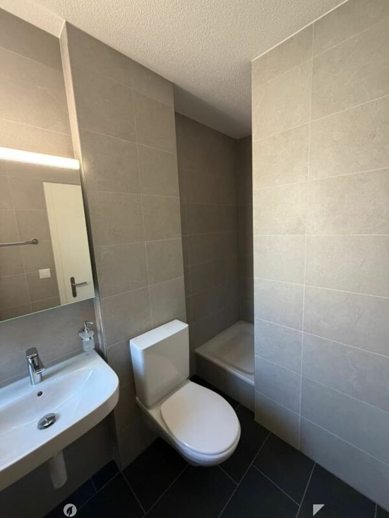 Erstbezug - frisch sanierte 1.5 Zimmer-Wohnung jetzt zu vermieten! (6)