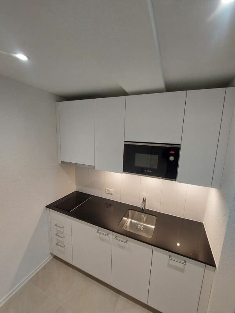 Appartamento nuovo di 2,5 locali luminoso presso Escher Wyss Platz - Prima locazione (5)