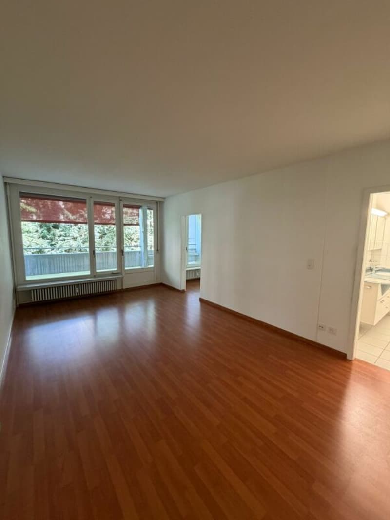 Appartamento 4,5 locali bellissimo in affitto immediatamente! (4)
