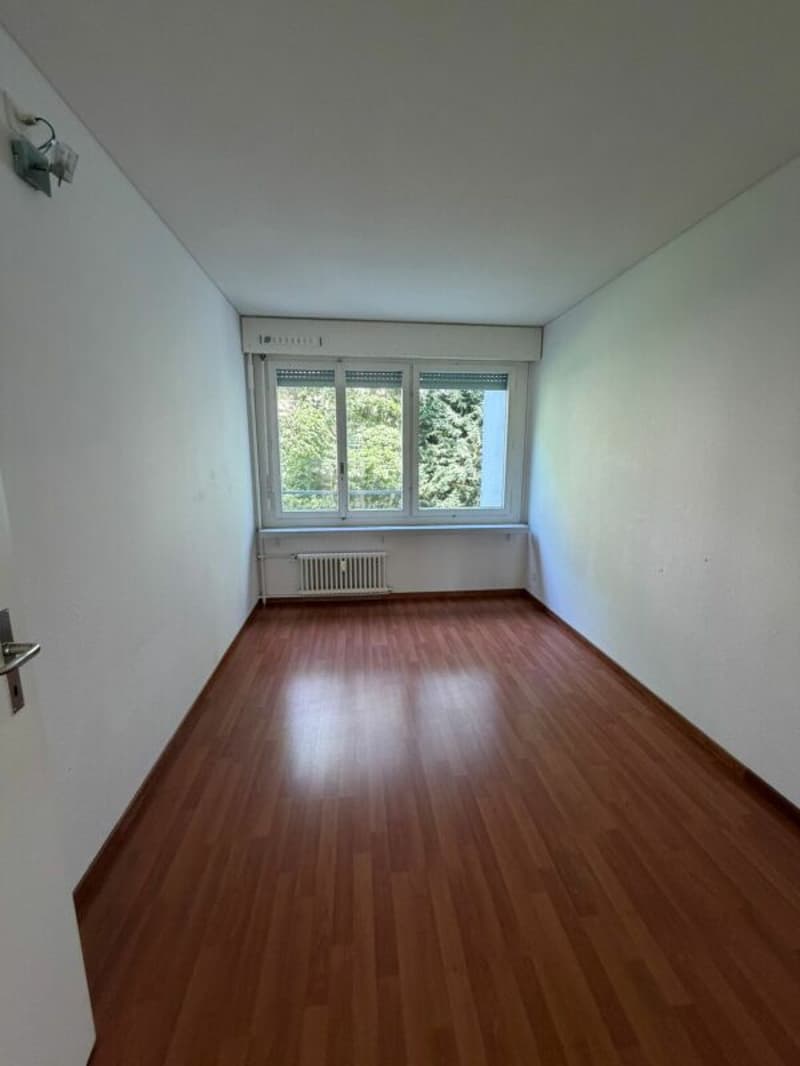 Appartamento 4,5 locali bellissimo in affitto immediatamente! (6)