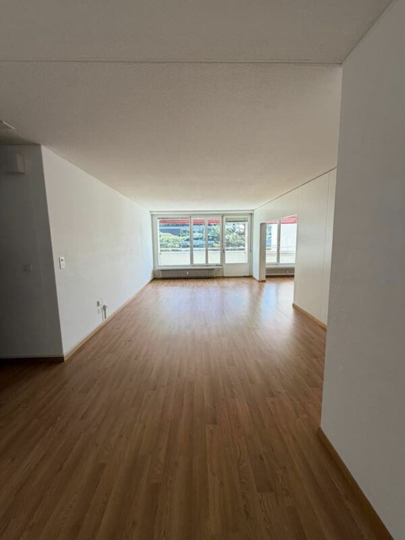 Appartamento 4,5 locali bellissimo in affitto immediatamente! (3)