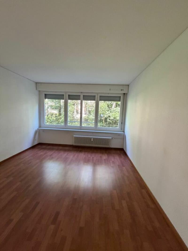 Appartamento 4,5 locali bellissimo in affitto immediatamente! (5)