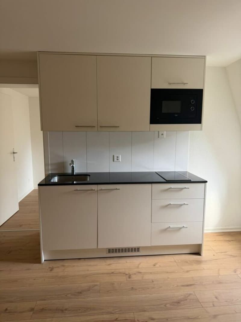 Primo affitto - delizioso appartamento appena ristrutturato di 2 camere in affitto ora! (2)