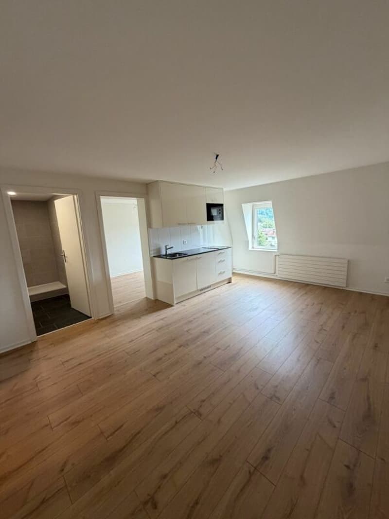 Primo affitto - delizioso appartamento appena ristrutturato di 2 camere in affitto ora! (3)