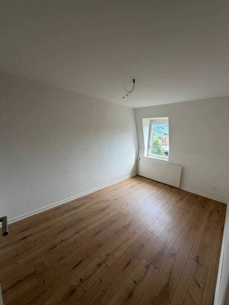 Primo affitto - delizioso appartamento appena ristrutturato di 2 camere in affitto ora! (4)