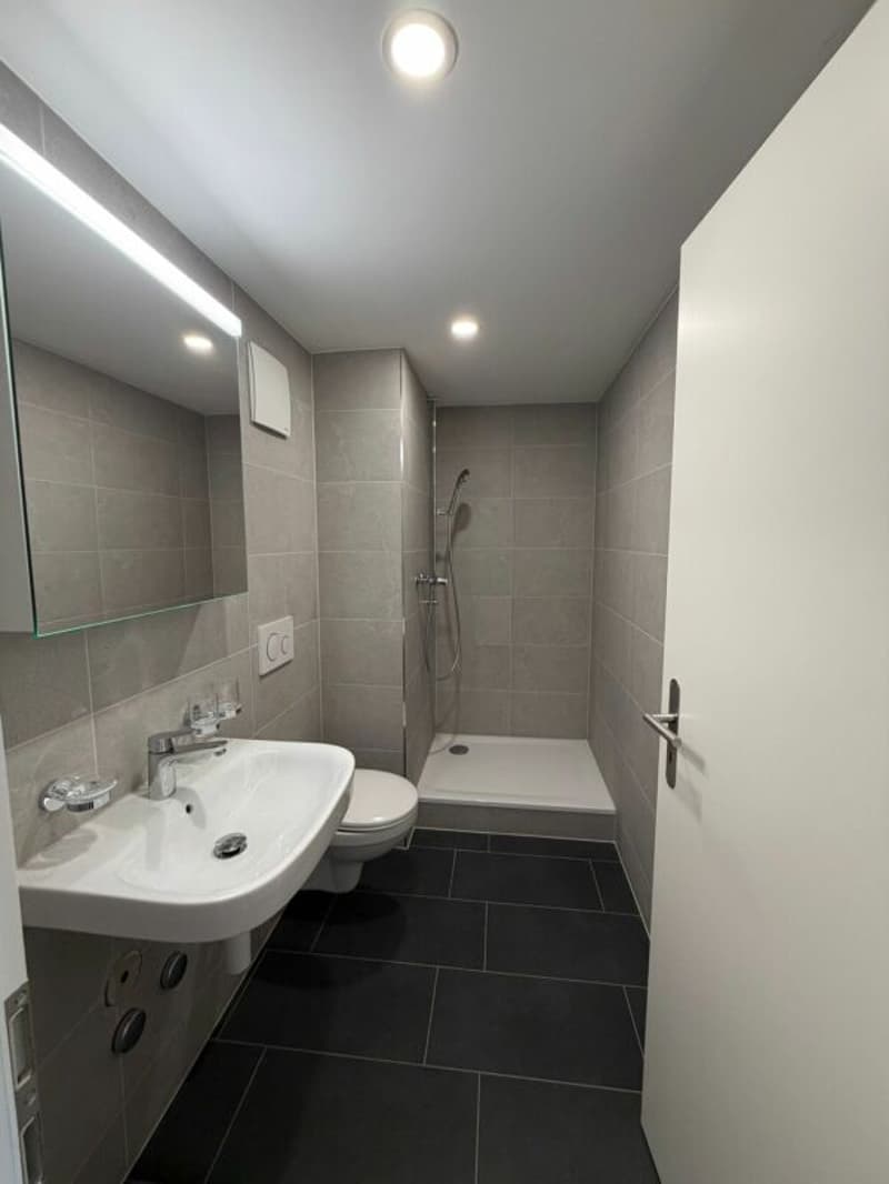 Primo affitto - delizioso appartamento appena ristrutturato di 2 camere in affitto ora! (5)