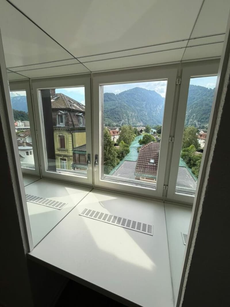 Primo affitto - appartamento ristrutturato di 3,5 locali in affitto ora! (4)