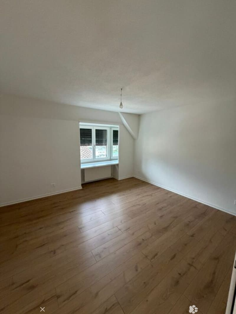 Erstbezug -  Frisch sanierte 3.5 Zimmer-Wohnung jetzt zu vermieten! (2)