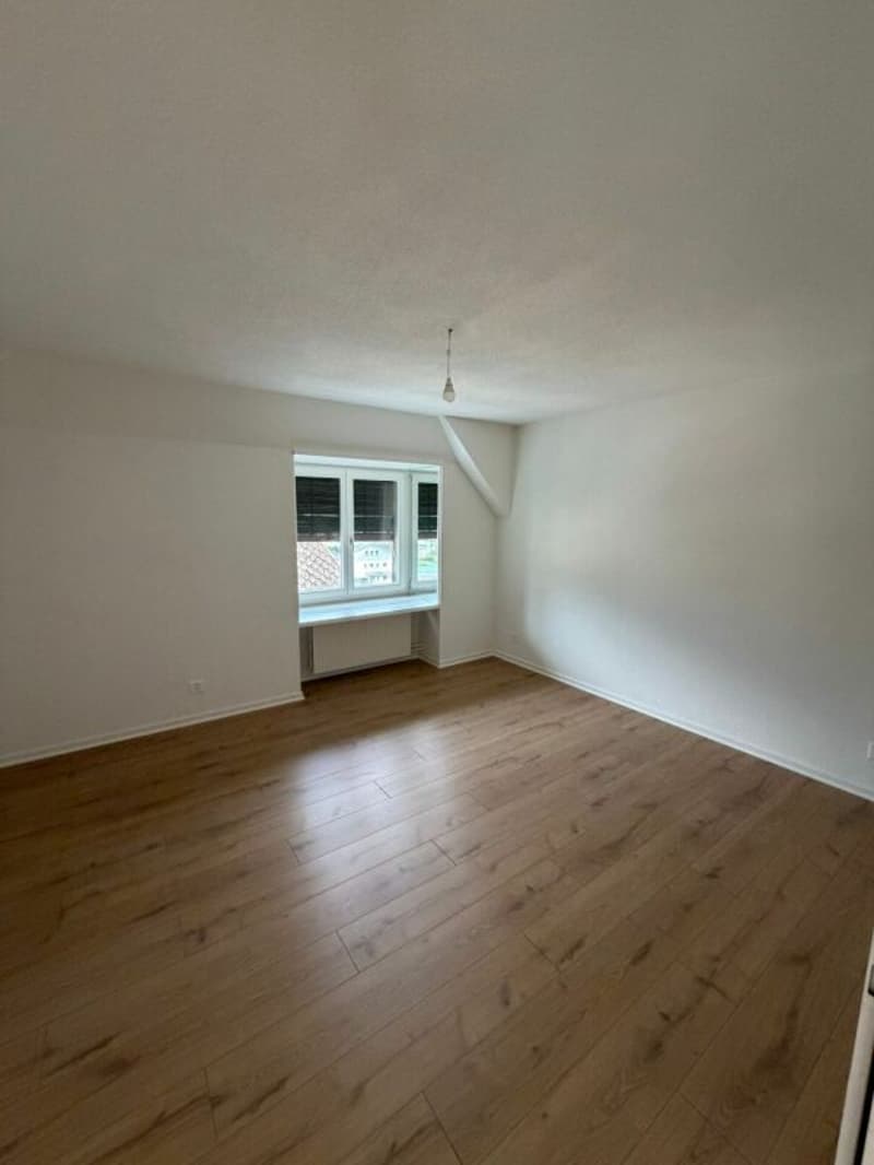 Primo affitto - appartamento ristrutturato di 3,5 locali in affitto ora! (2)