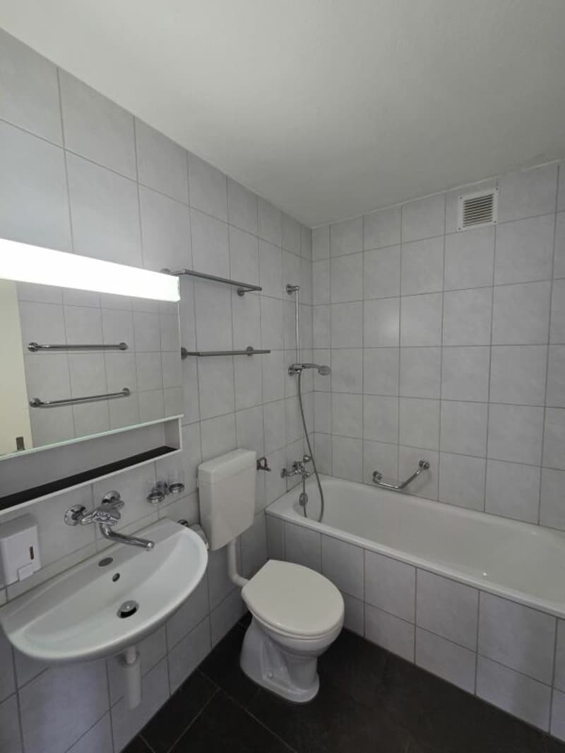 4.5 Zimmerwohnung per sofort frei (10)