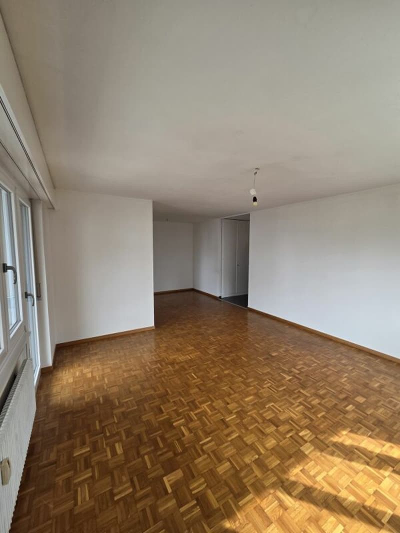 4.5 Zimmerwohnung per sofort frei (2)
