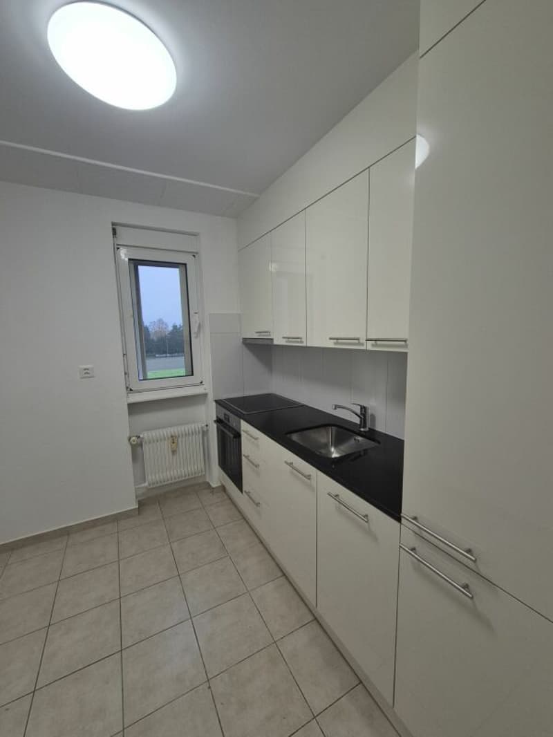 Bright 4.5 room apartment in Langenthal (5)