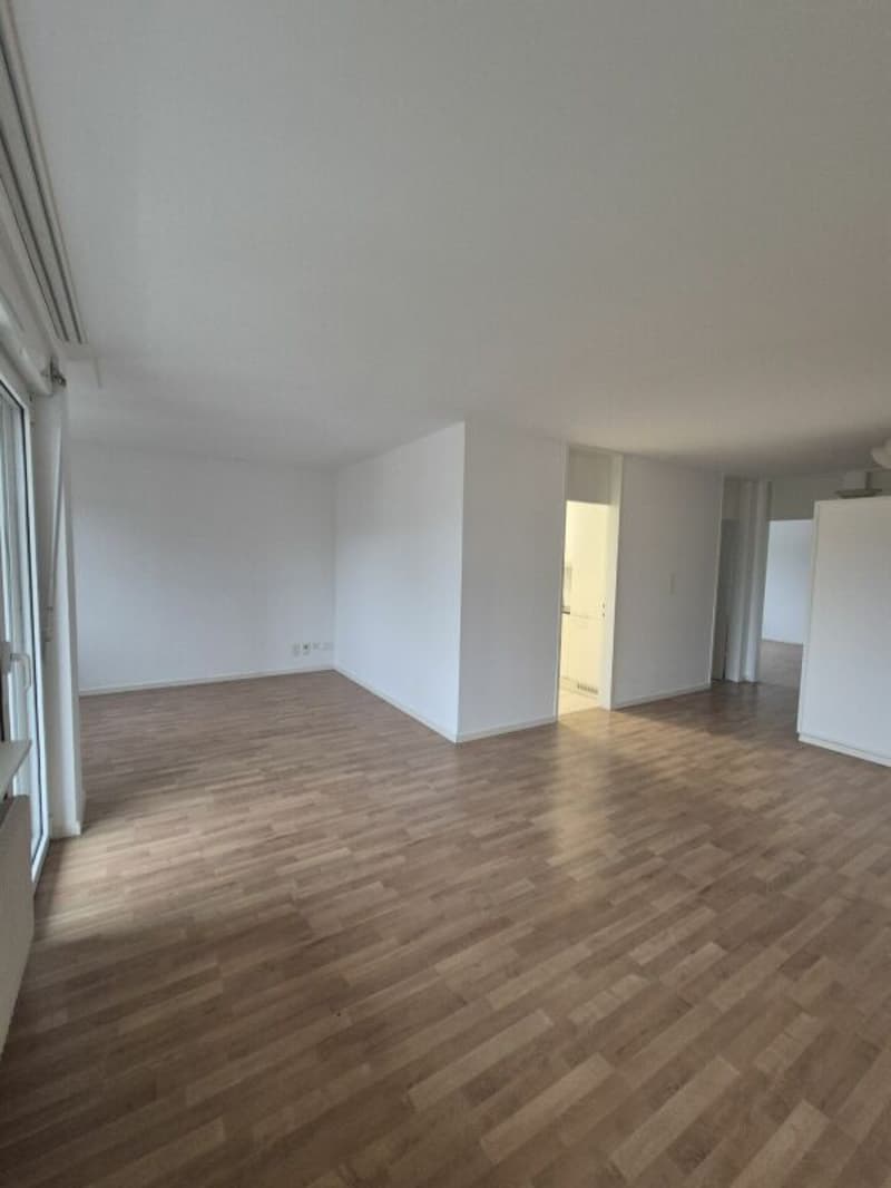 Bright 4.5 room apartment in Langenthal (8)