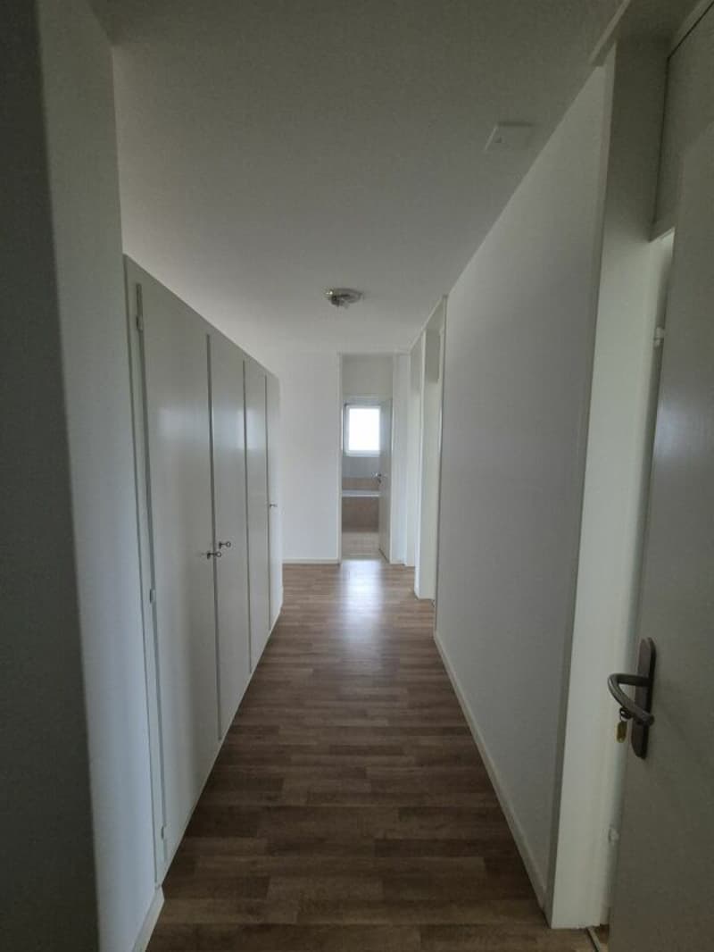 Bright 4.5 room apartment in Langenthal (14)