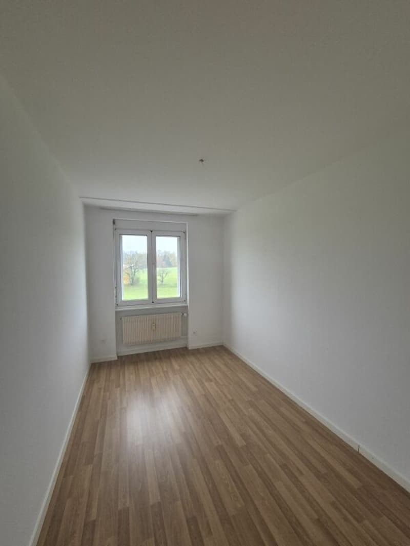 Bright 4.5 room apartment in Langenthal (13)