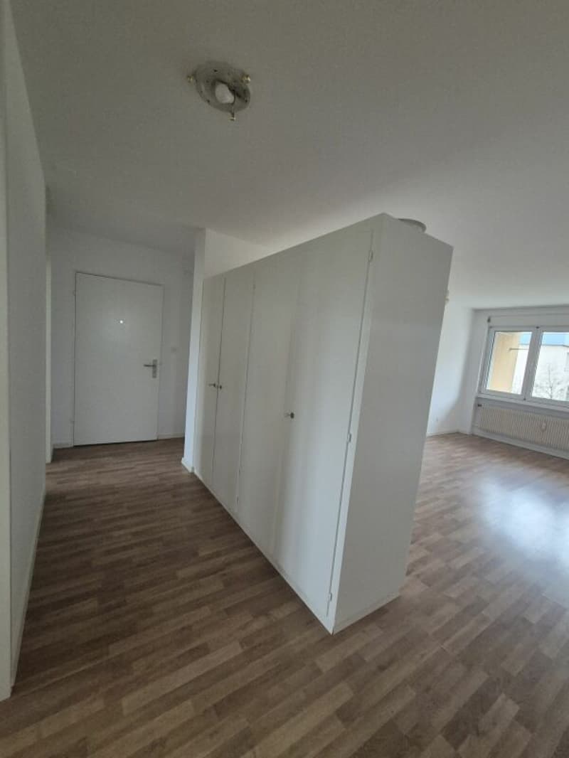 Bright 4.5 room apartment in Langenthal (9)