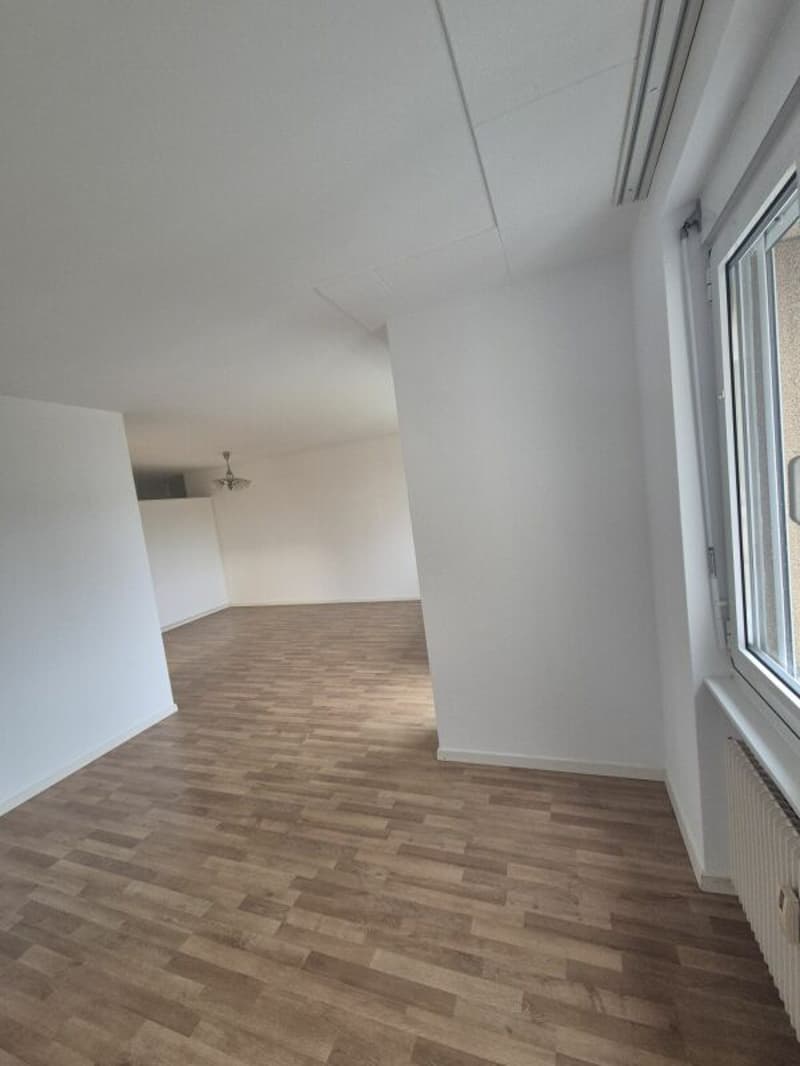 Bright 4.5 room apartment in Langenthal (10)