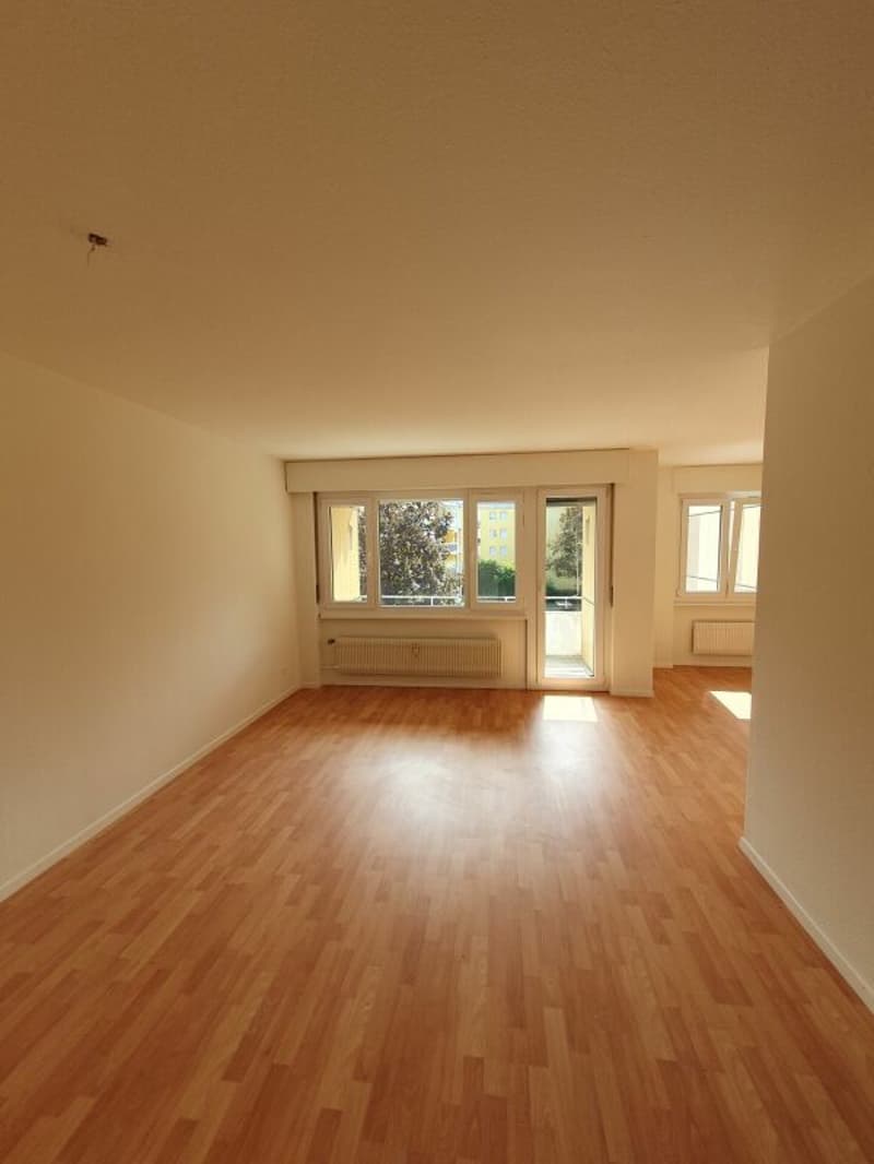 Bright 4.5 room apartment in Langenthal (2)