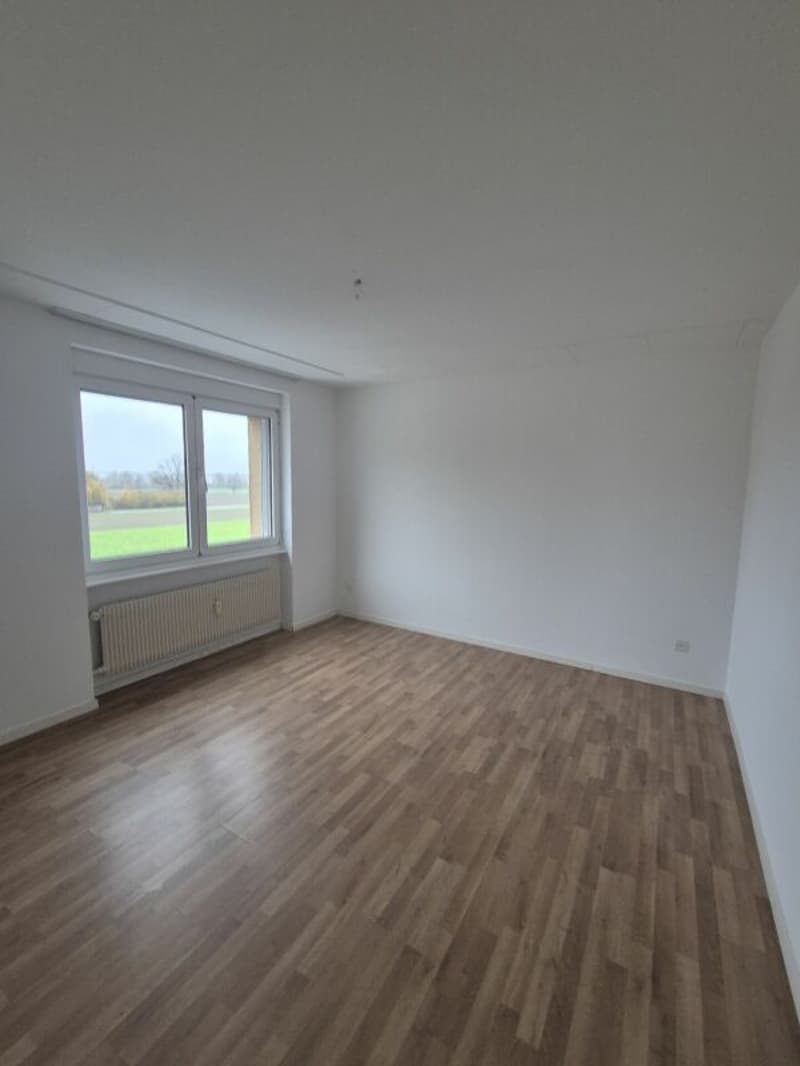 Bright 4.5 room apartment in Langenthal (11)