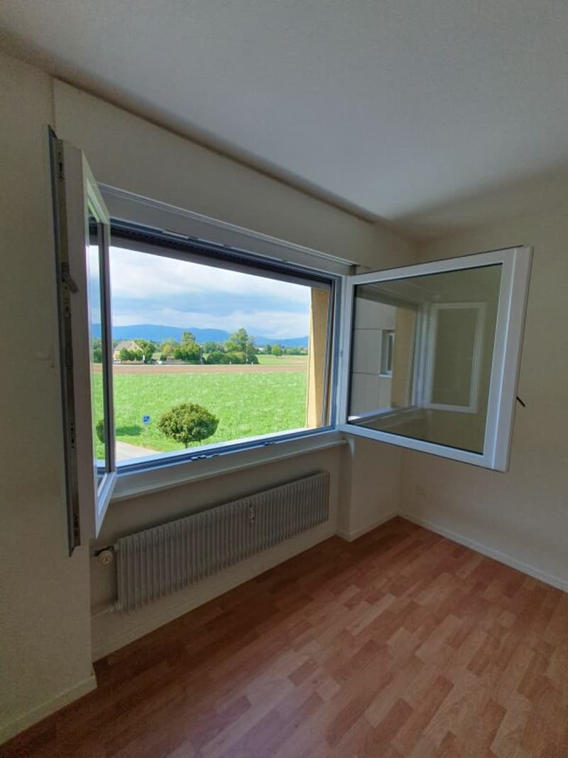 Bright 4.5 room apartment in Langenthal (4)