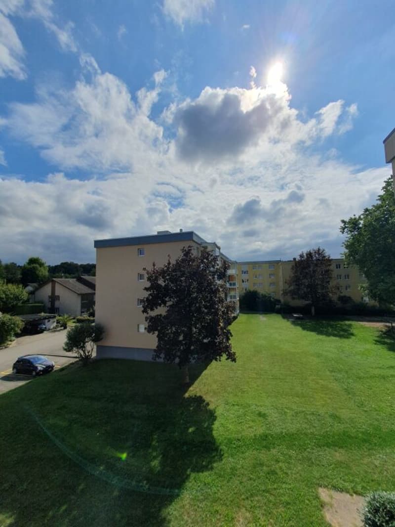 Bright 4.5 room apartment in Langenthal (16)