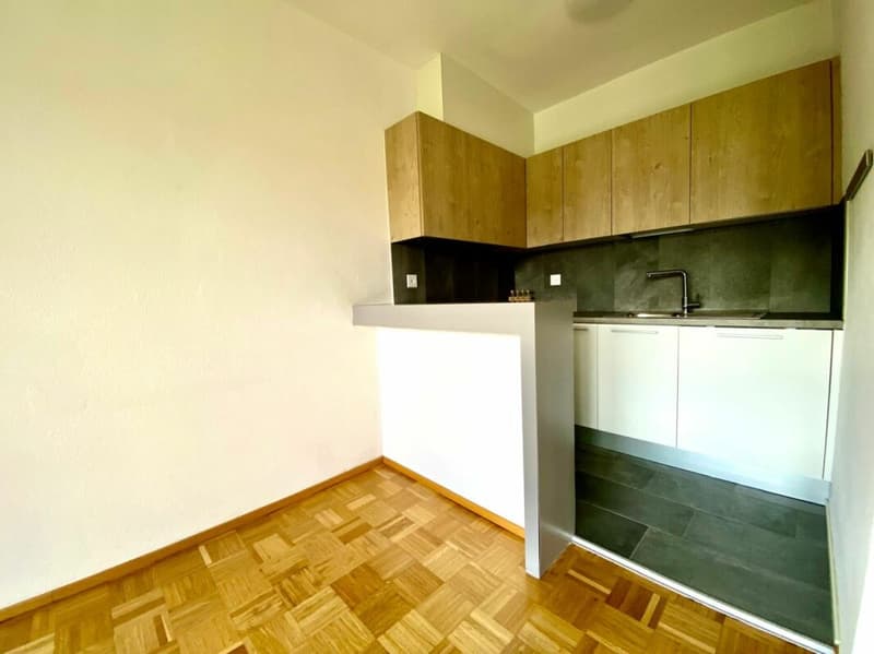 tranquillo , moderno appartamento di 2,5 locali - Vacallo (5)