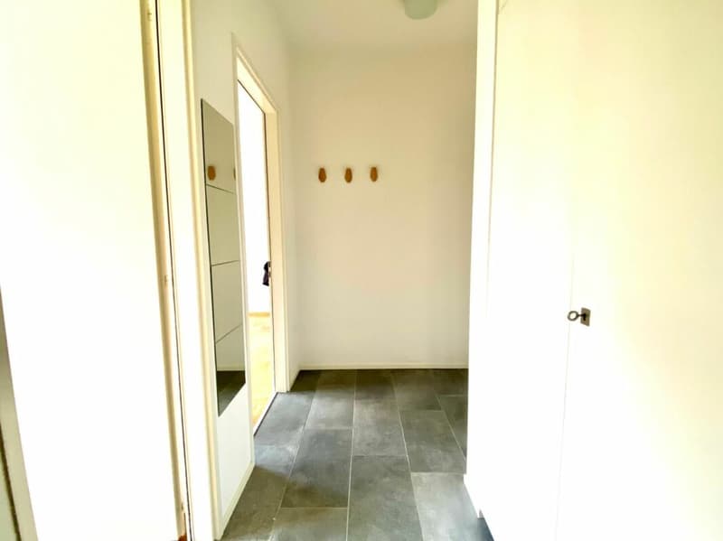 tranquillo , moderno appartamento di 2,5 locali - Vacallo (7)