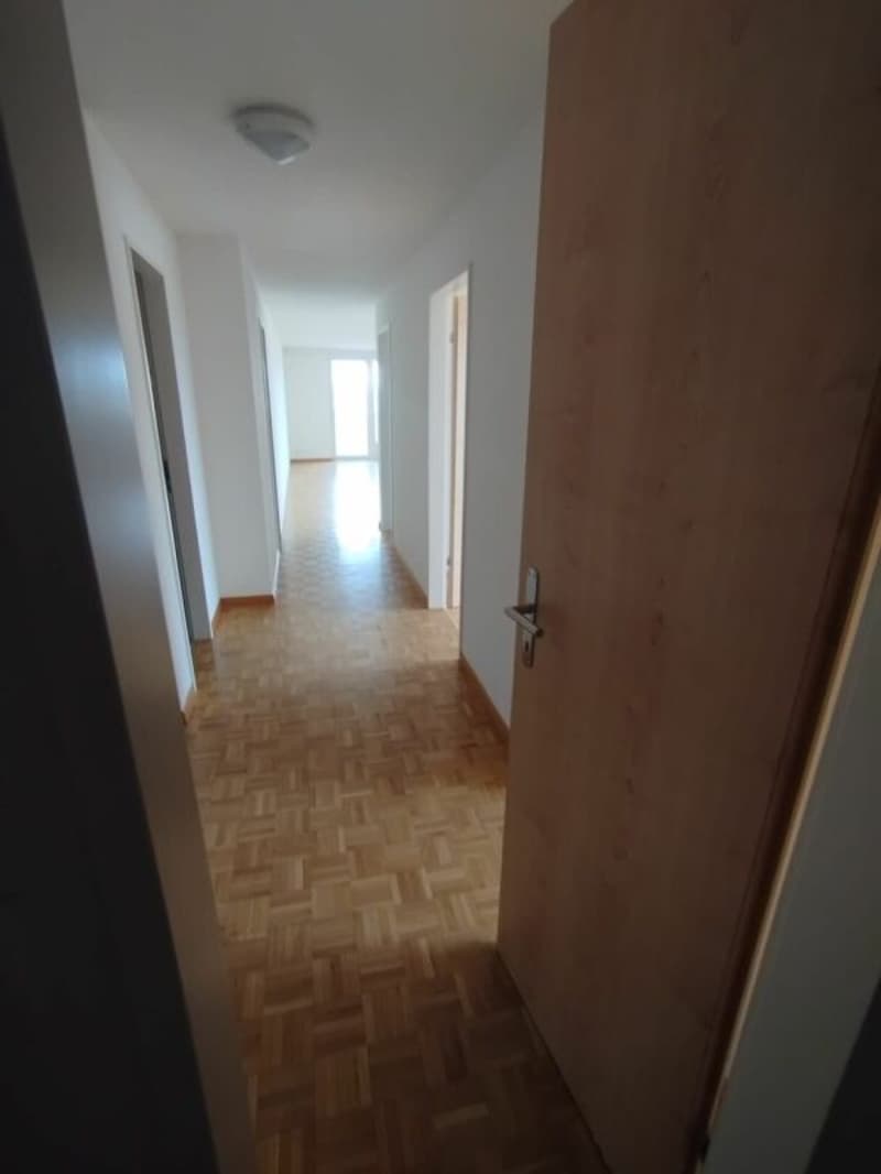 Appartement lumineux agréable (10)