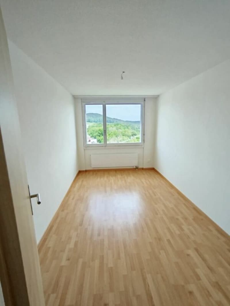 Appartement lumineux agréable (9)