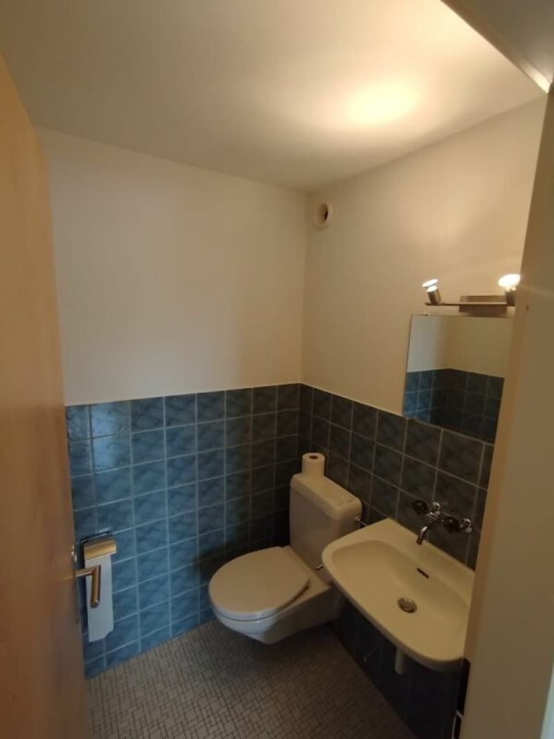 Appartement lumineux agréable (3)
