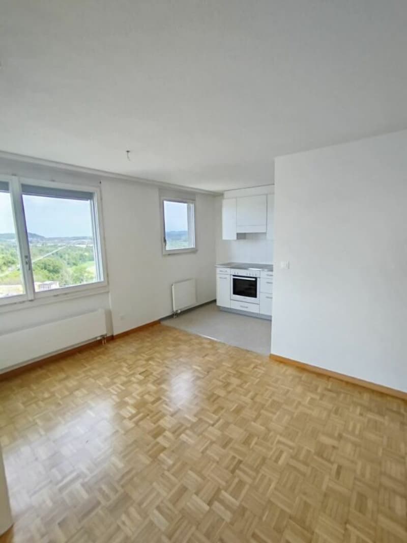 Appartement lumineux agréable (2)