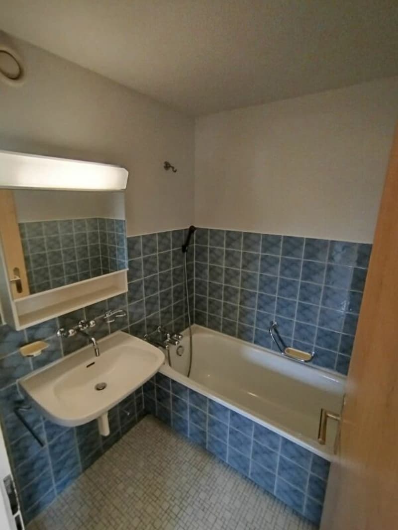 Appartement lumineux agréable (6)