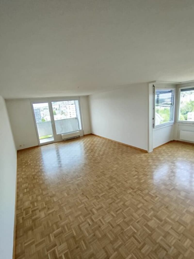 Appartement lumineux agréable (8)