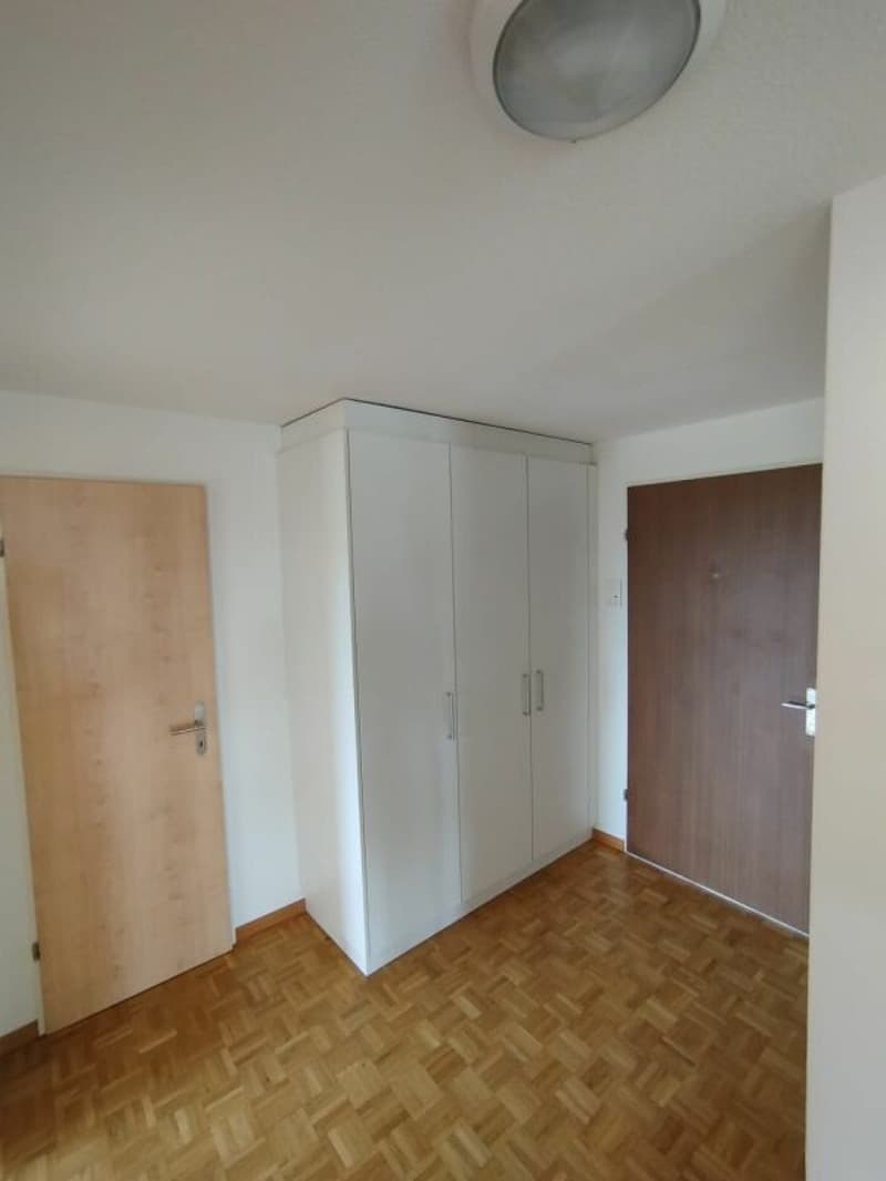 Appartement lumineux agréable (5)
