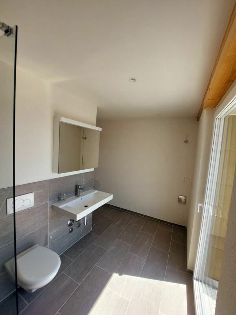 Exklusive 2.5-Zimmer-Attikawohnung mit ca. 74 m² Sonnenterrasse - Erstbezug im Neubau (9)