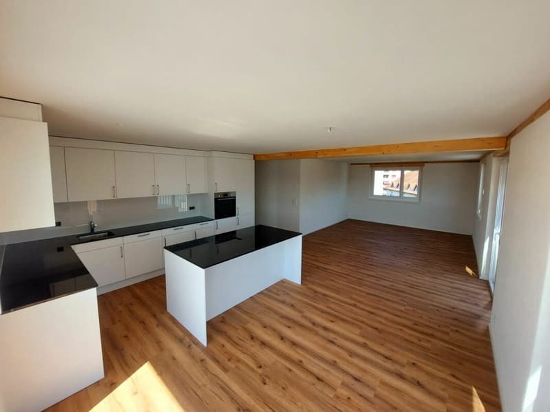 Exklusive 2.5-Zimmer-Attikawohnung mit ca. 74 m² Sonnenterrasse - Erstbezug im Neubau (1)