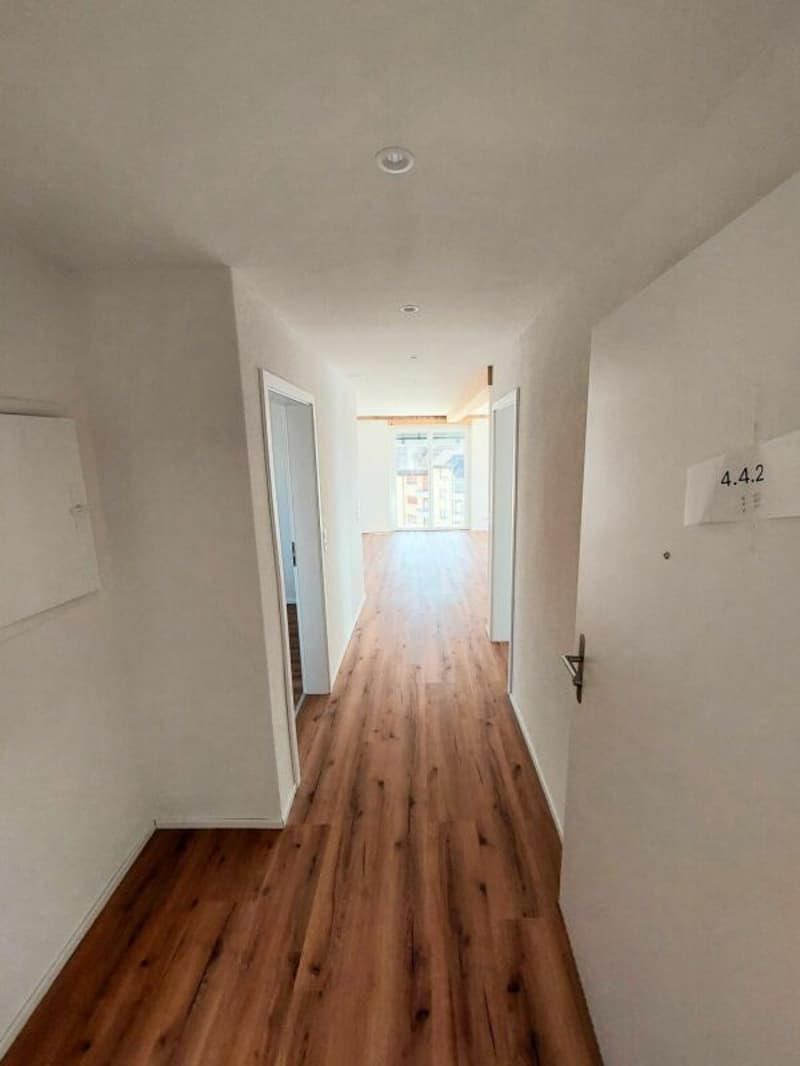 Exklusive 2.5-Zimmer-Attikawohnung mit ca. 74 m² Sonnenterrasse - Erstbezug im Neubau (5)