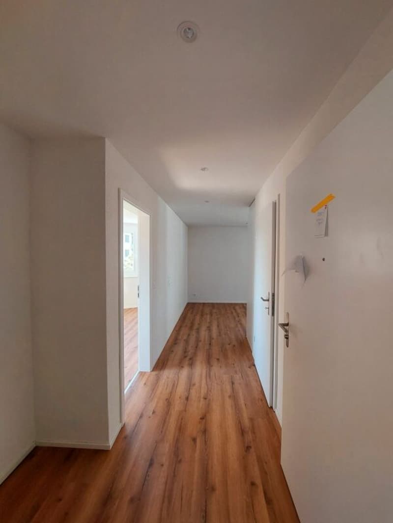 Appartamento nuovo di 2,5 locali elegante con 60 m² e balcone soleggiato (8)